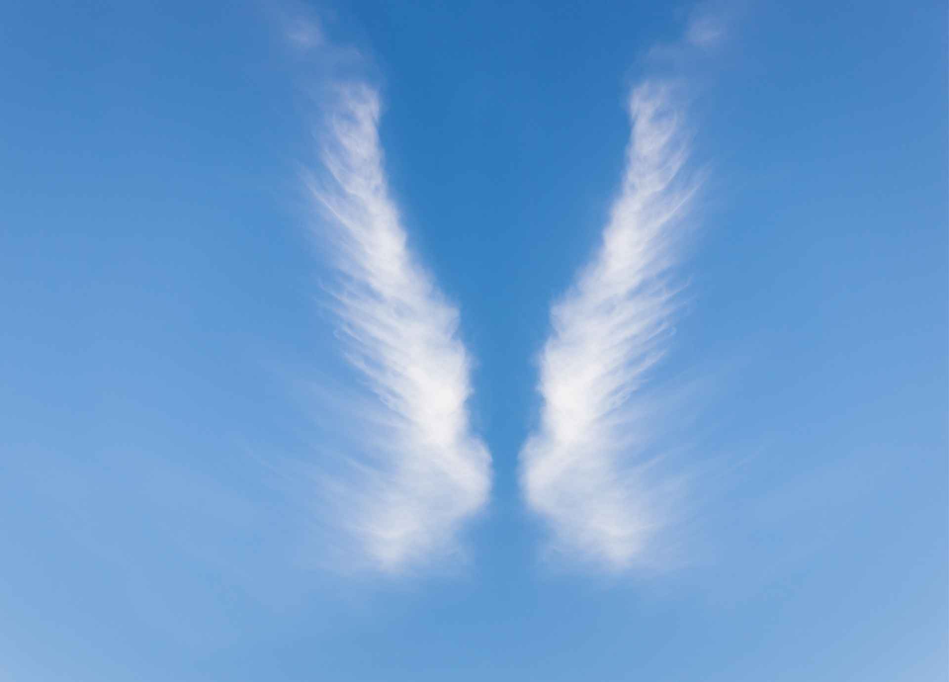 Angels vs. Spirit Guides: Who’s on Your Soul’s Support Team?