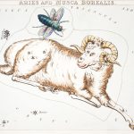 Aries: The Warrior’s Magic — Embodying Courage, Fire & Fierce Sovereignty