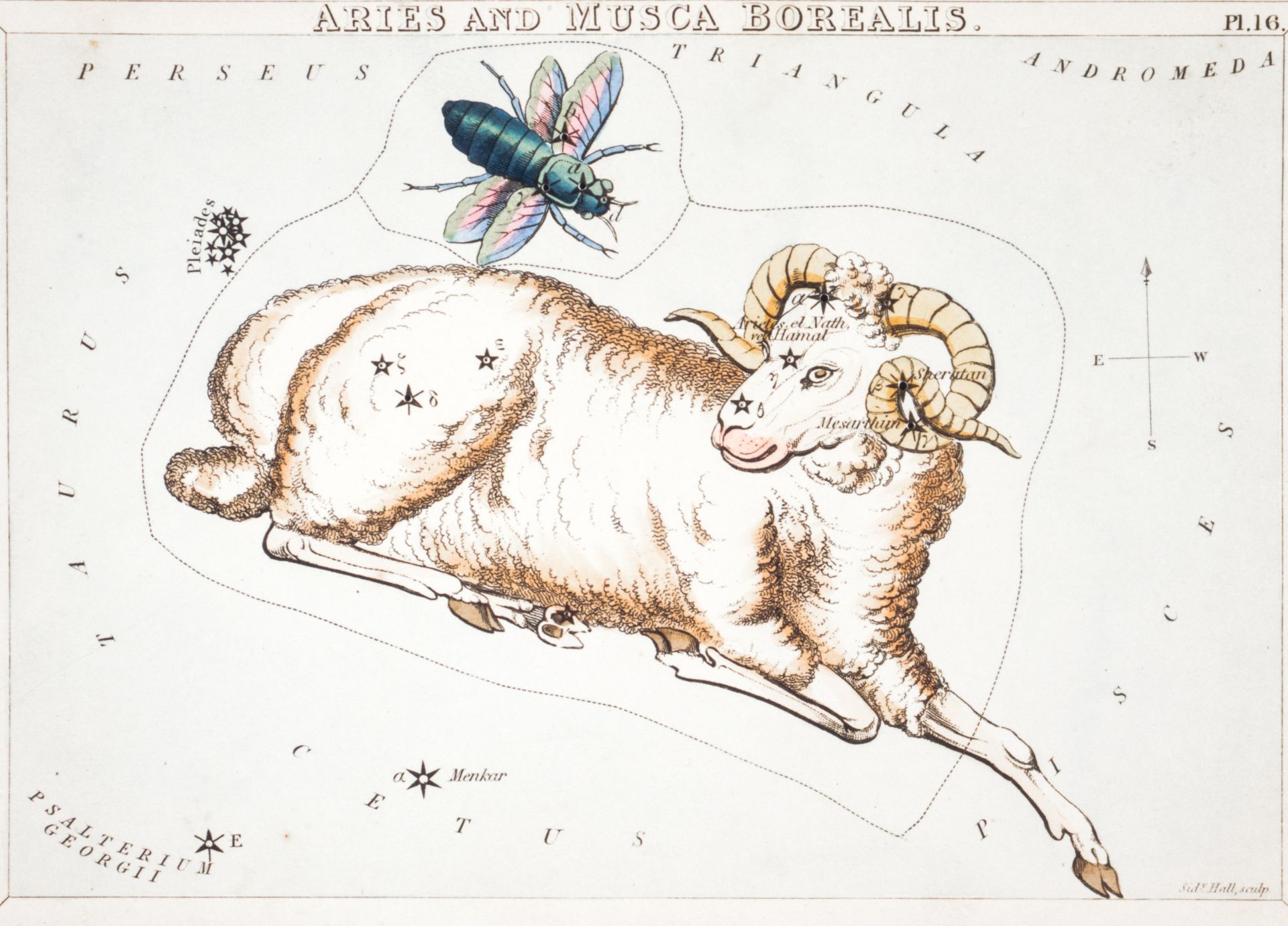 Aries: The Warrior’s Magic — Embodying Courage, Fire & Fierce Sovereignty