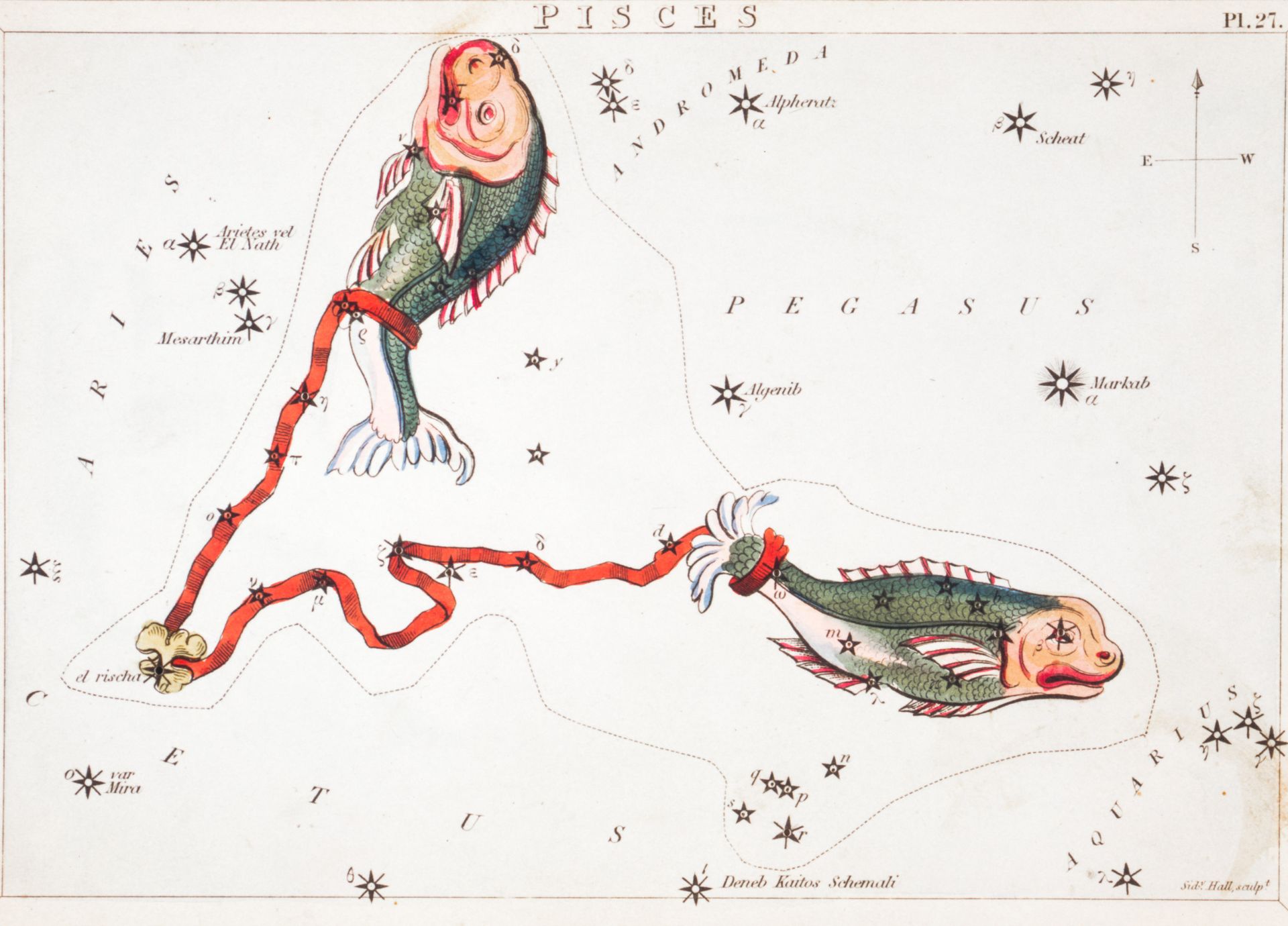 Pisces: The Mystic Dreamer — Magic of Compassion, Intuition & Spiritual Surrender