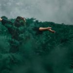 Last Quarter Moon Ritual: Clearing the Way for New Beginnings