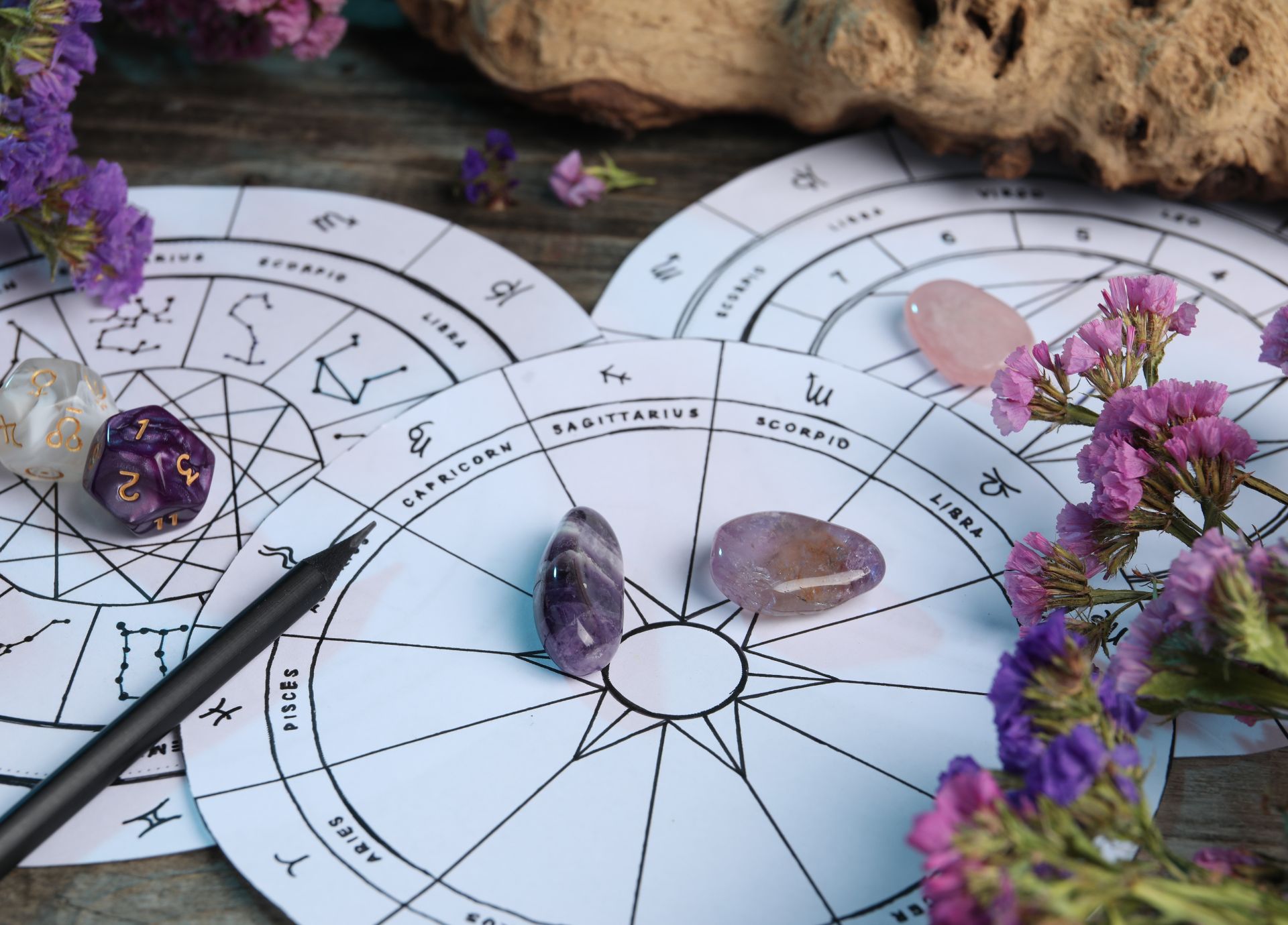 The Houses in Astrology: Full Meanings + Magic