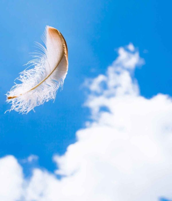 Signs Angels Are Near: 13 Ways the Divine Gets Your Attention