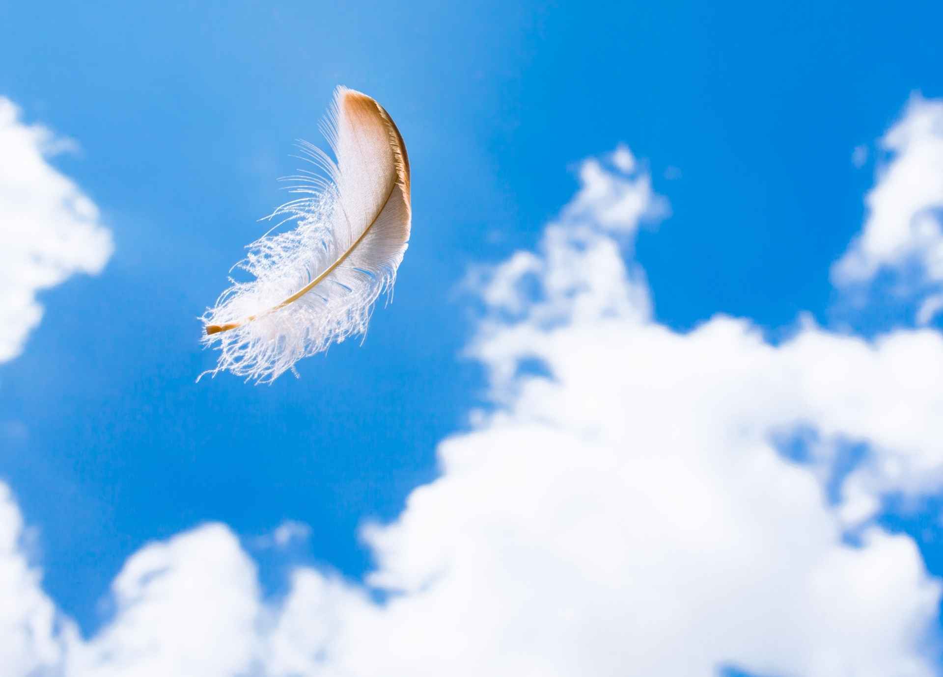 Signs Angels Are Near: 13 Ways the Divine Gets Your Attention