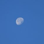 Waning Gibbous Moon: Gratitude as a Ritual of Power