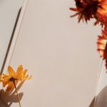 The Ritual of Aura Journaling: Tracking Shifts in Your Energy Field