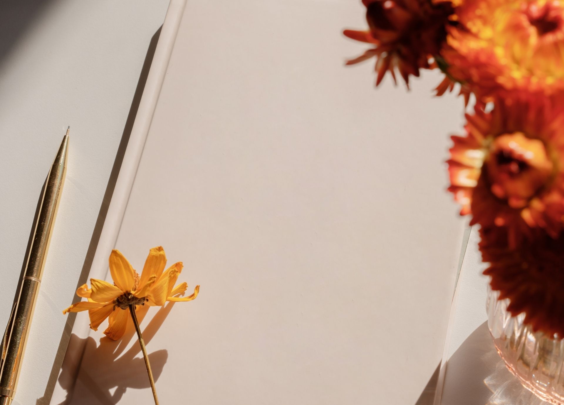 The Ritual of Aura Journaling: Tracking Shifts in Your Energy Field