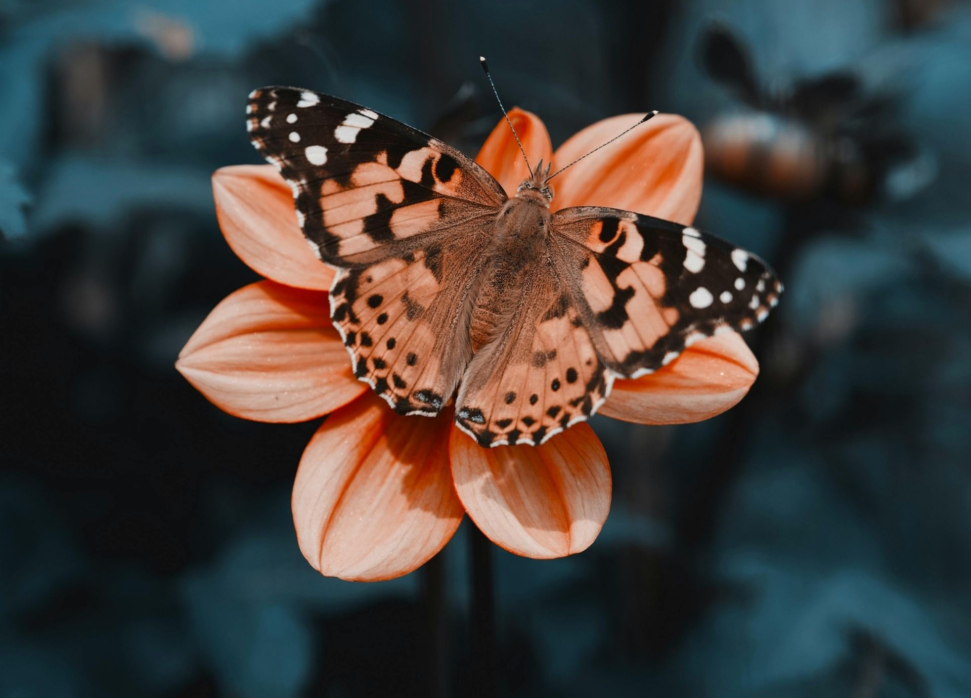 Past Lives and Karma: Healing Across Lifetimes