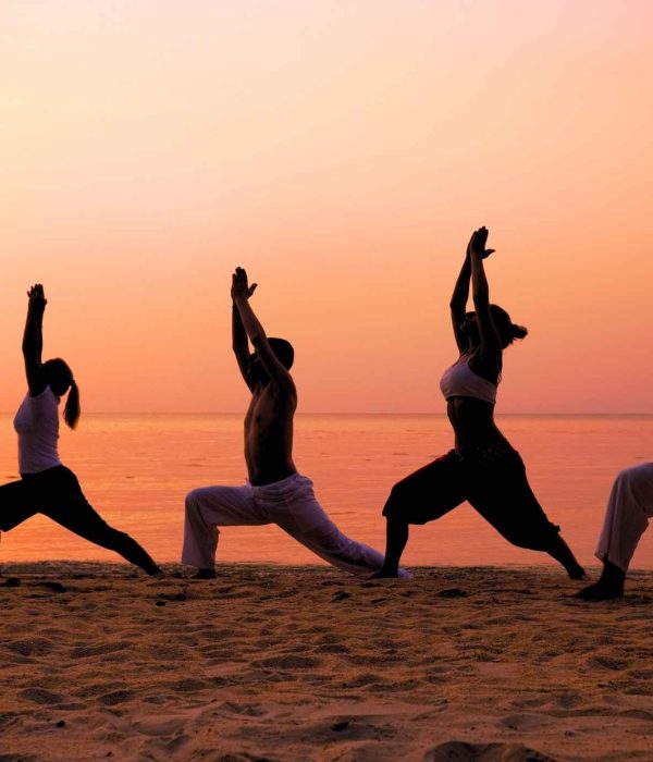 Understanding the Five Koshas (Yogi’s Guide)