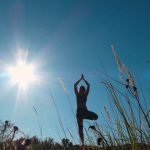 Asana in Yoga: A Complete Guide to Structure, Purpose, and Progression