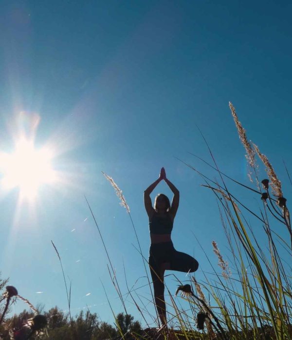 Asana in Yoga: A Complete Guide to Structure, Purpose, and Progression