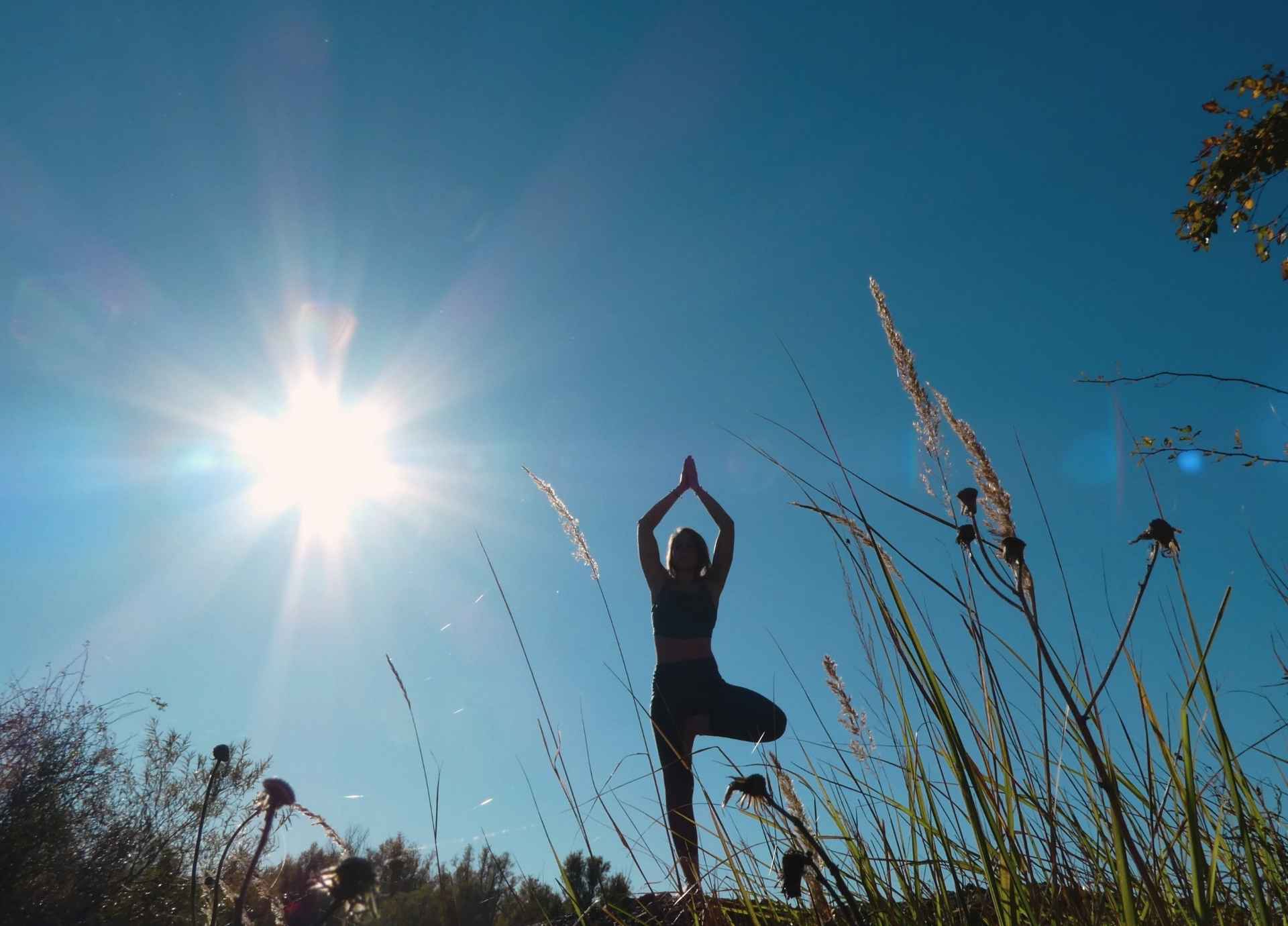 Asana in Yoga: A Complete Guide to Structure, Purpose, and Progression