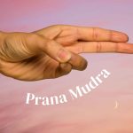Prana Mudra in Yoga: How to Activate Vital Energy