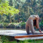 Seasonal Ayurveda and Yoga: How to Adapt Your Practice Throughout the Year