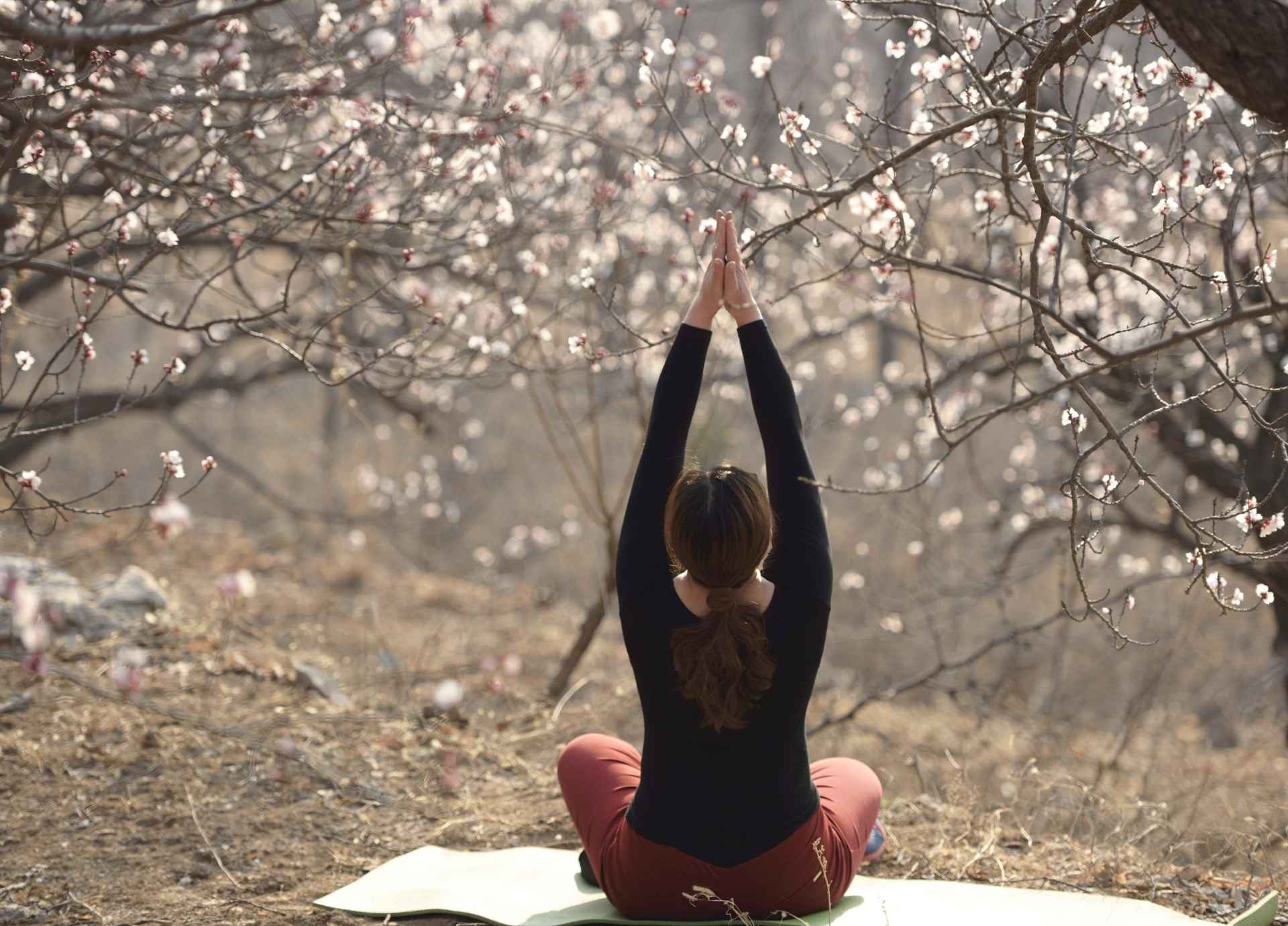 The Gunas in Yoga Philosophy: Understanding Sattva, Rajas, and Tamas
