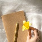Best Journals for Reflective Rituals