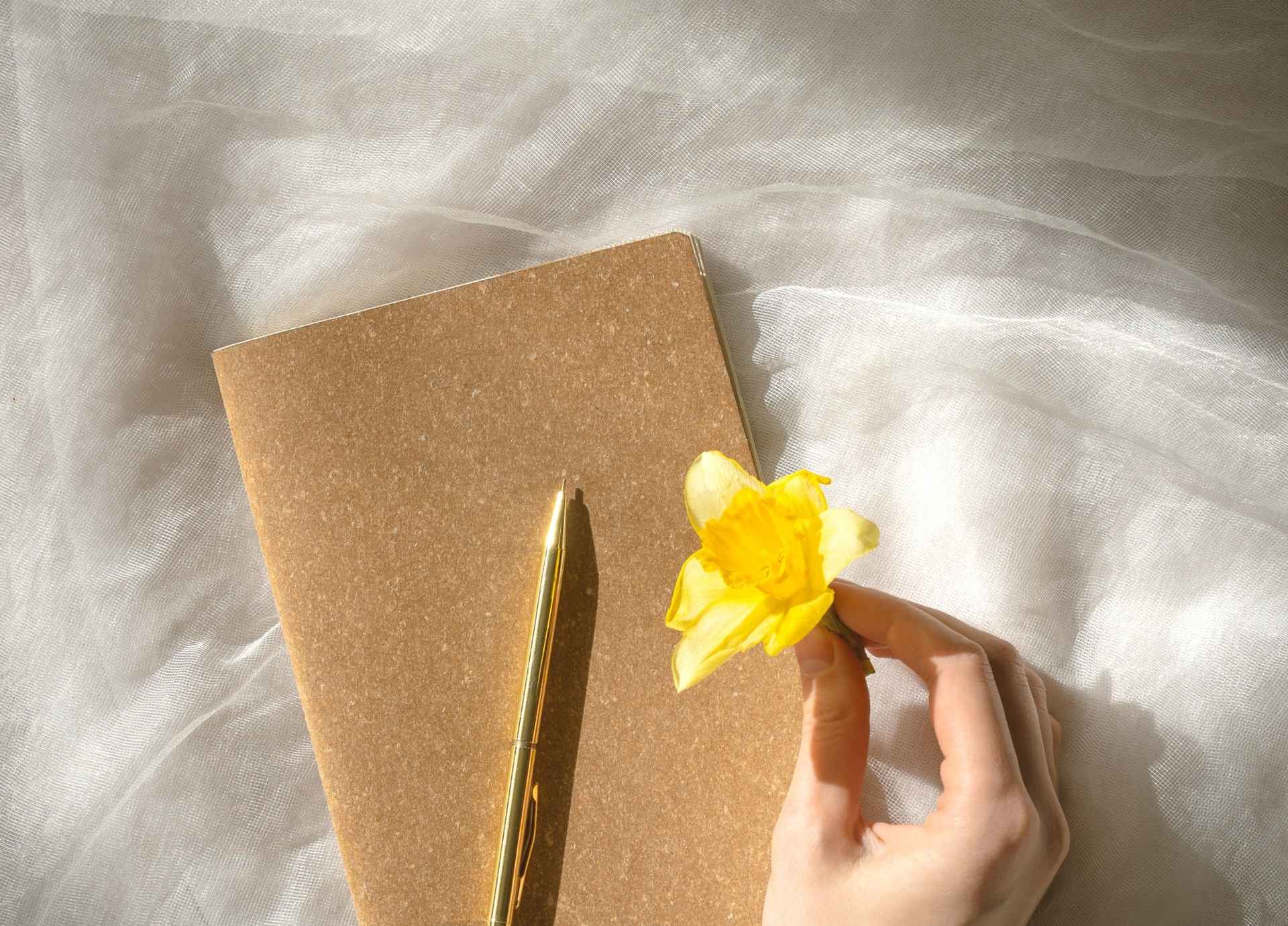 Best Journals for Reflective Rituals