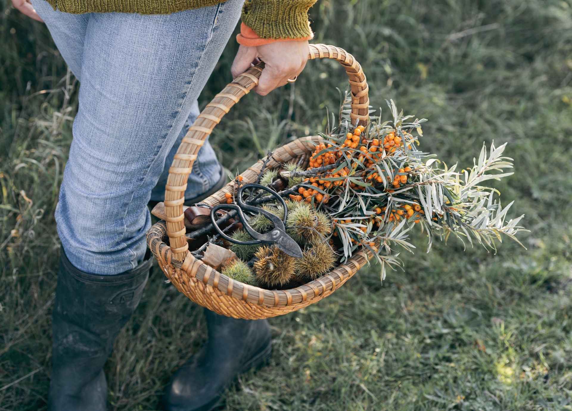 Forest-Inspired Aromatherapy Rituals