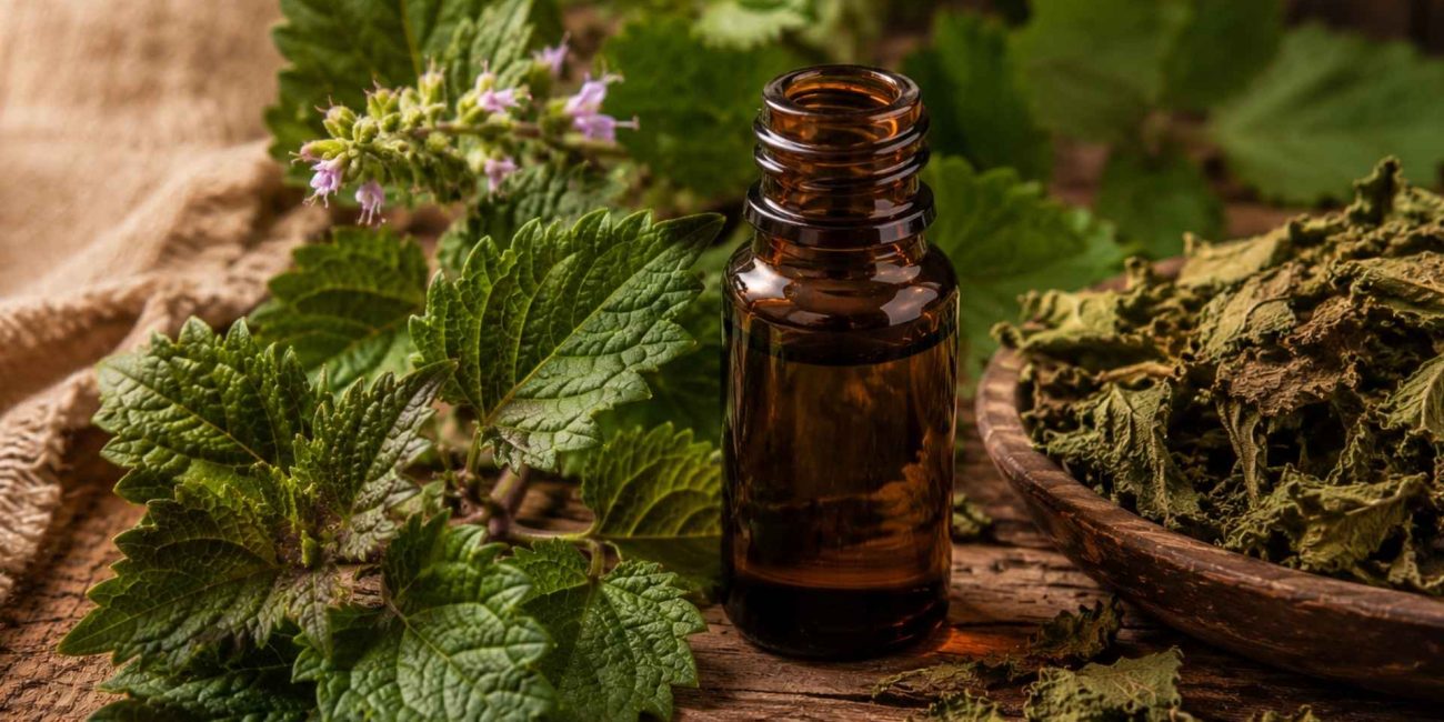 Patchouli Essential Oil Ritual Guide