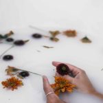 Rituals for Quiet Sundays & Reflective Evenings