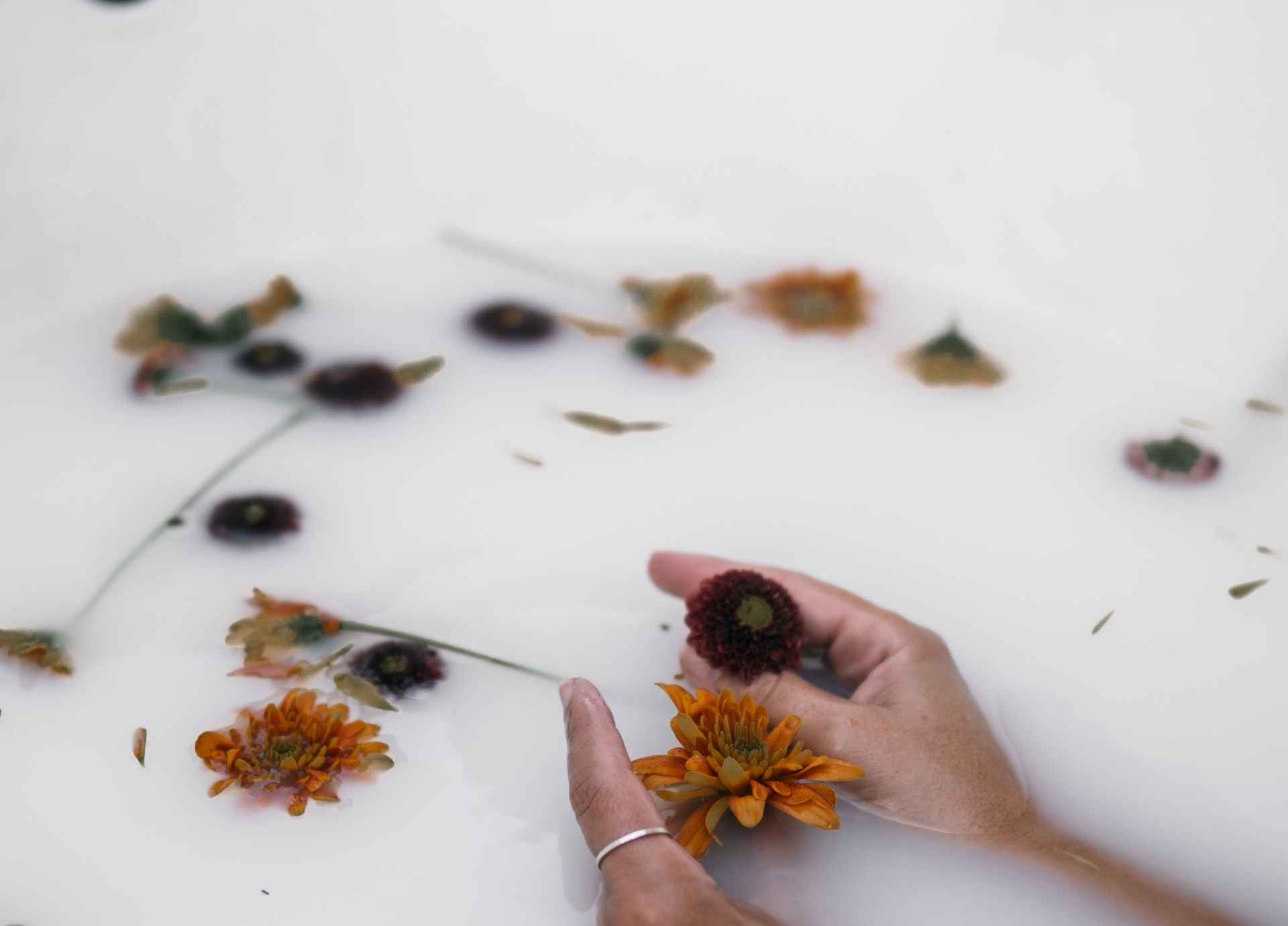 Rituals for Quiet Sundays & Reflective Evenings